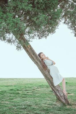 陆贞传奇电视剧在线观看免费全集